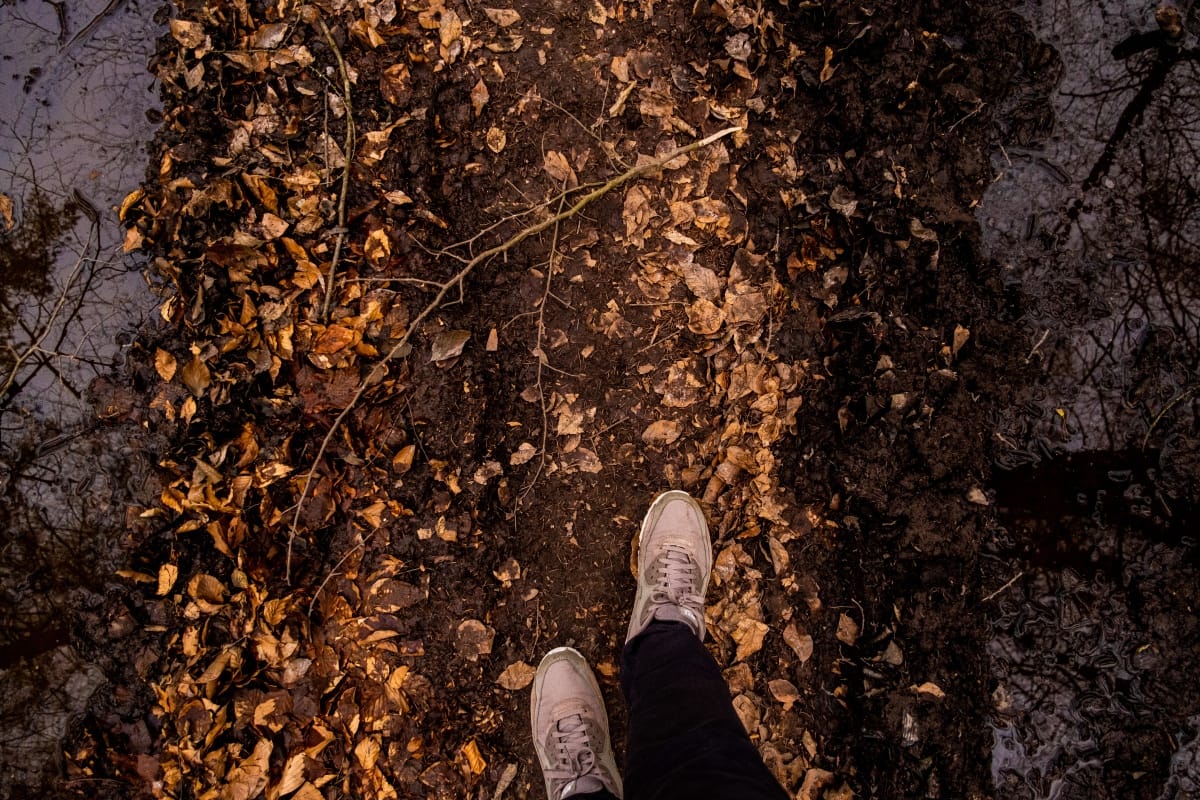 📸 + 🥾 | Wander dir den Kopf frei! Wanderbericht aus’m Uedemer Hochwald.