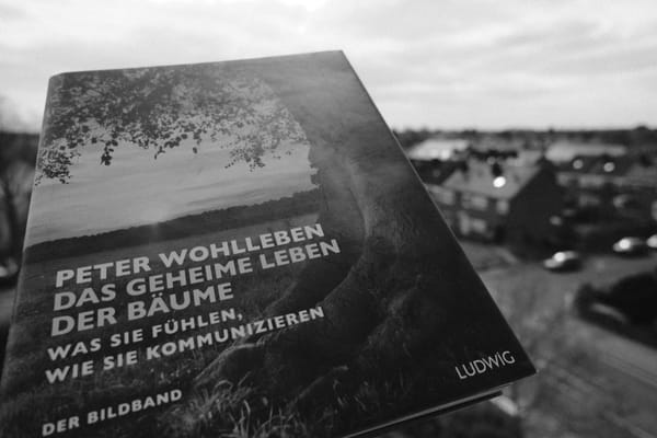 📚  | Das geheime Leben der Bäume von Peter Wohlleben